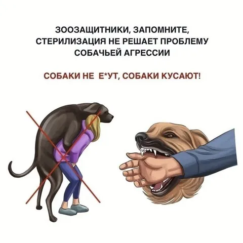 Собаки не е*ут, собаки кусают