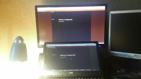 Welcome to Polygoncraft