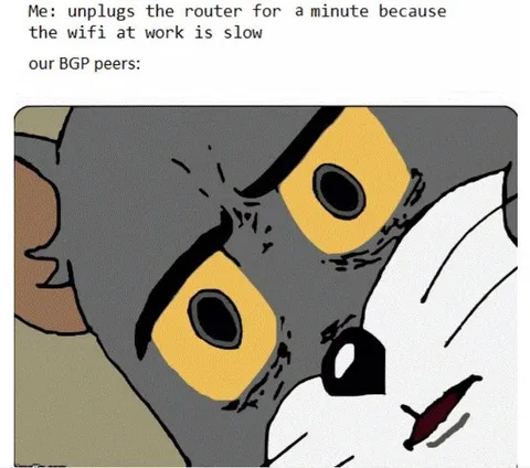 BGP Peers After Router Reset