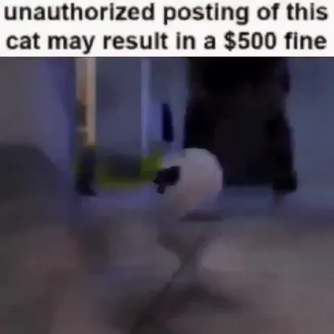 Unauthorized Cat Posting Fine