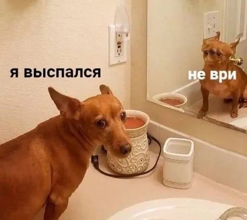 Я выспался, не ври