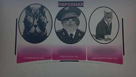 Кошачий персонал с зарплатами