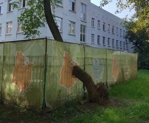 Белка за деревом
