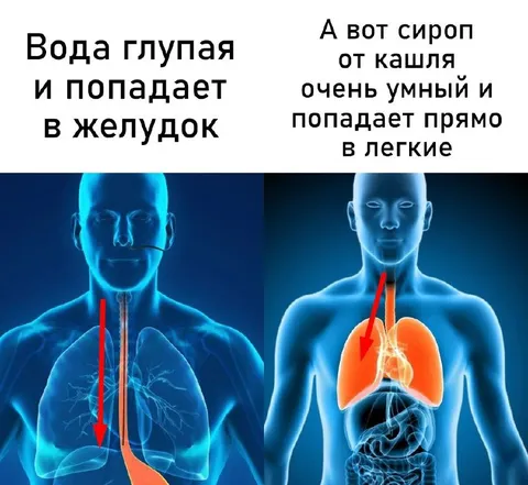 Умный сироп попадает в лёгкие