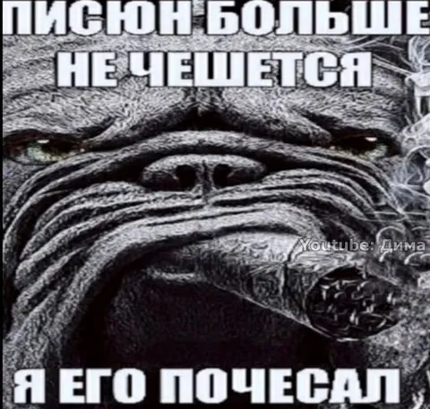 Писюн больше не чешется