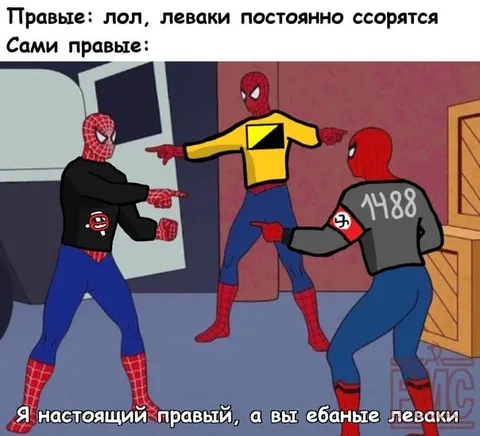 Правые спорят между собой