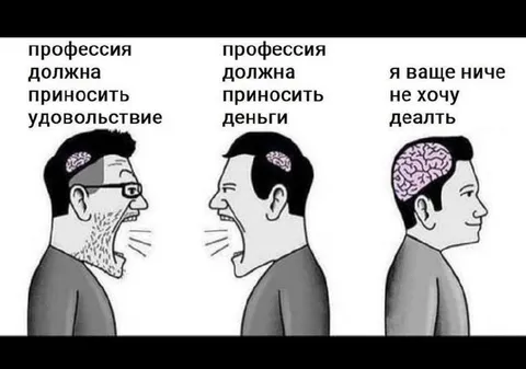 Профессия должна приносить деньги