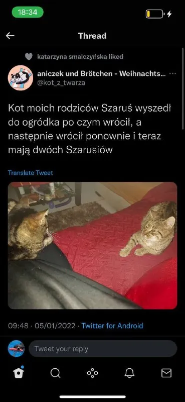 Dwa Szarusie w ogródku