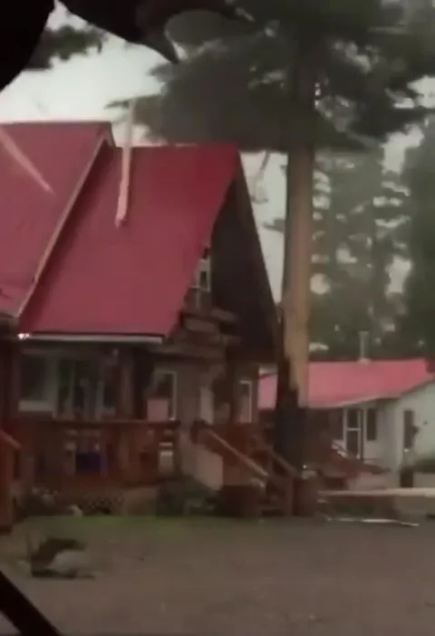 Дерево падает на дом