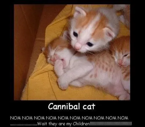 Cannibal Cat with Kittens