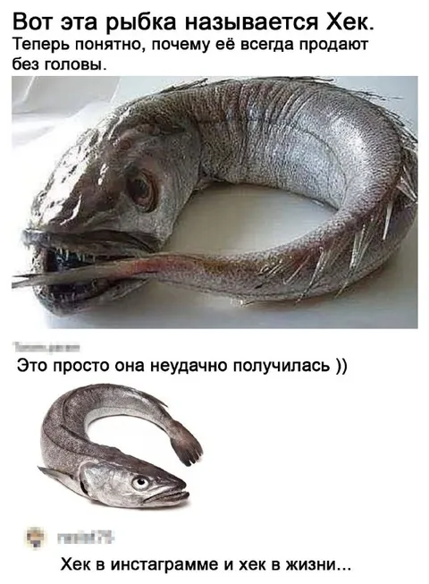 Хек в инстаграмме и в жизни