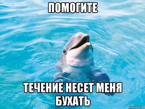 Течение несет бухать