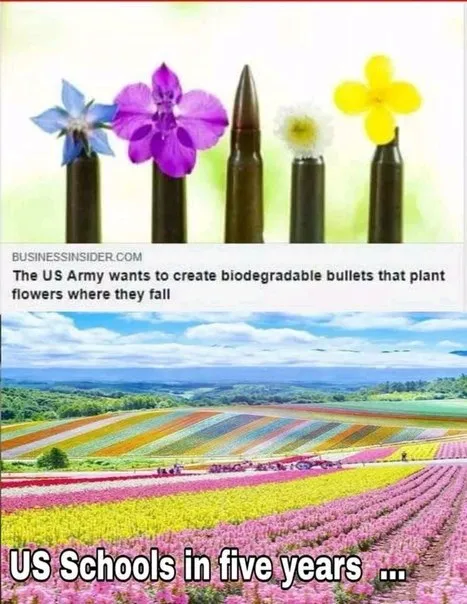 US Schools in Five Years