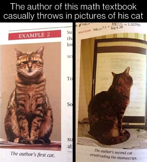 Math Textbook Author's Cats