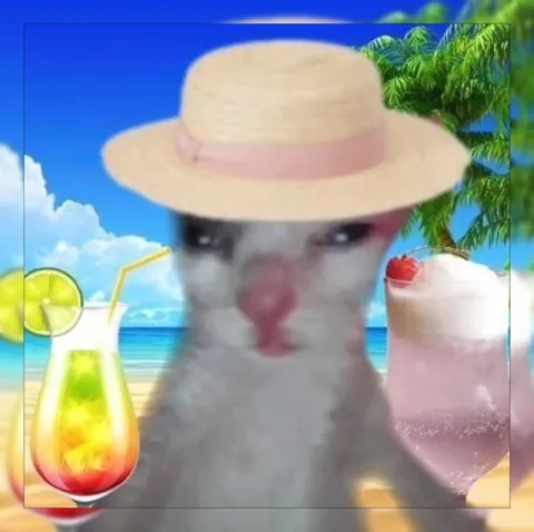 Кот на пляжном отдыхе