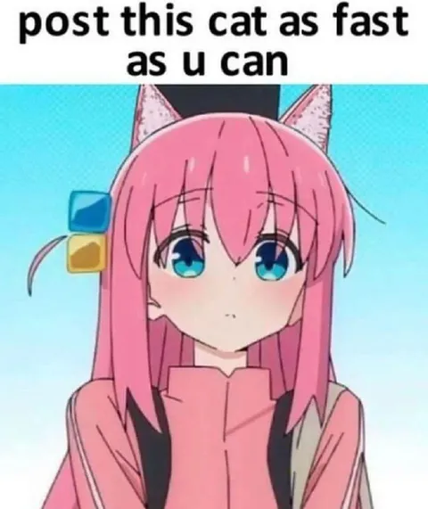 Post This Cat As Fast As You Can