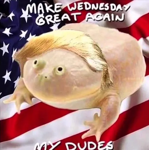 Make Wednesday Great Again Toad