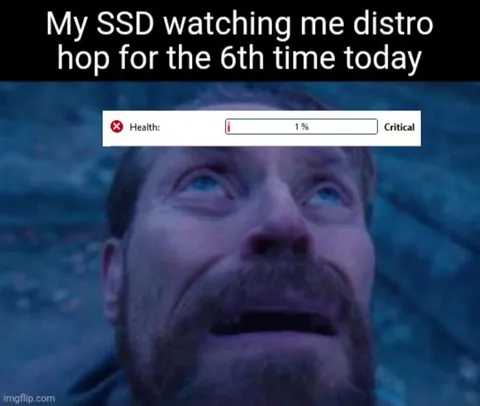 SSD Survives Distro Hopping