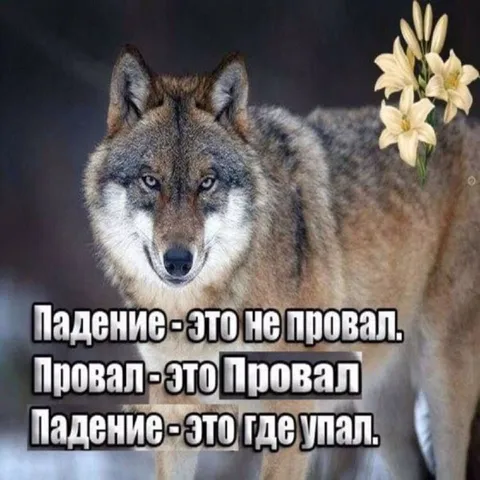 Падение — это не провал