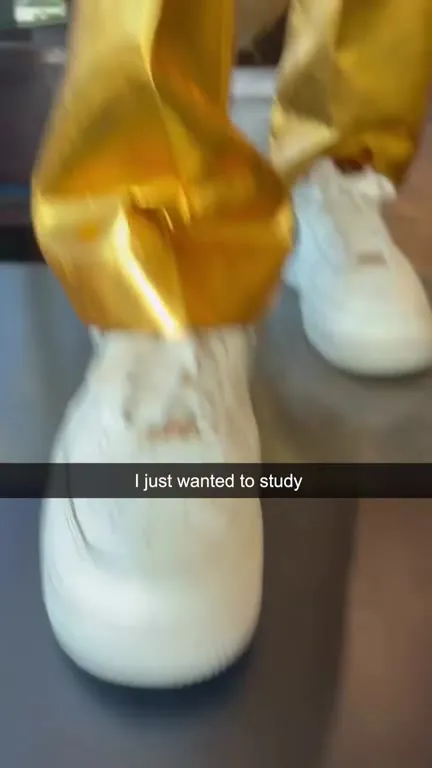 I Just Wanted to Study
