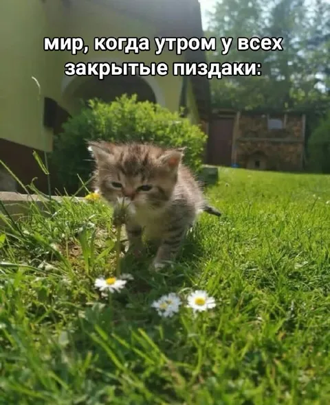 Мир с закрытыми пиздаками