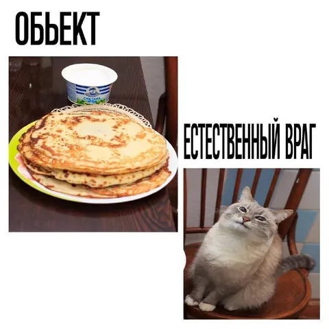 Блины и естественный враг