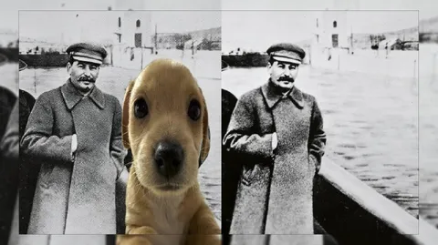 Сталин и щенок