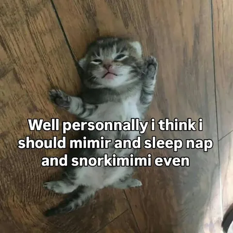 Kitten Wants to Sleep