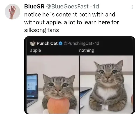 Cat With Apple Versus Nothing