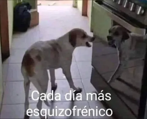 Cada día más esquizofrénico
