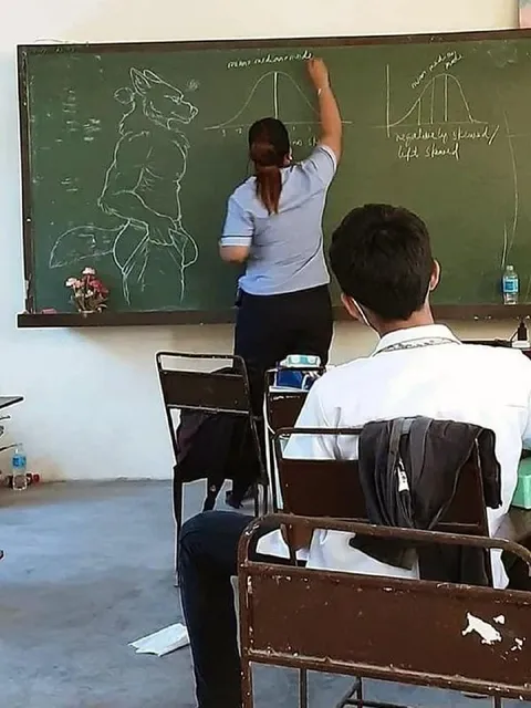 Wolf Drawing in Biology Class