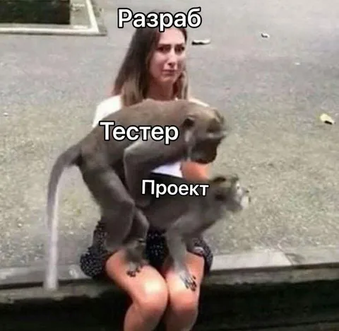 Разраб, тестер и проект