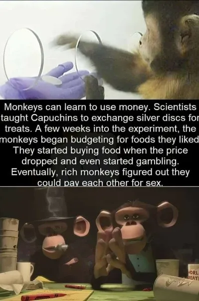 Rich Monkeys Pay for Sex