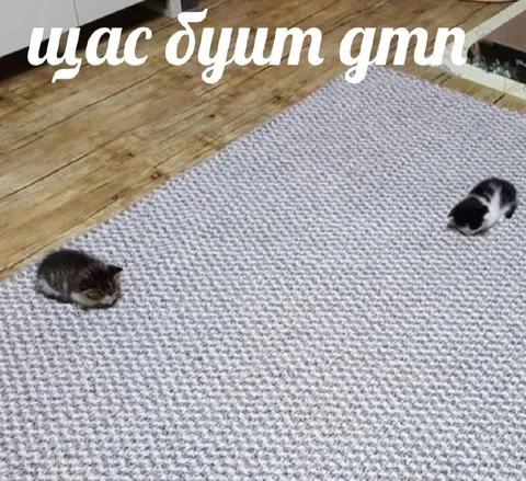 Щас бушит дэтт