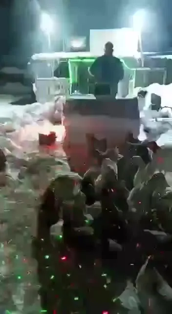 Утиный рейв под Gangnam Style