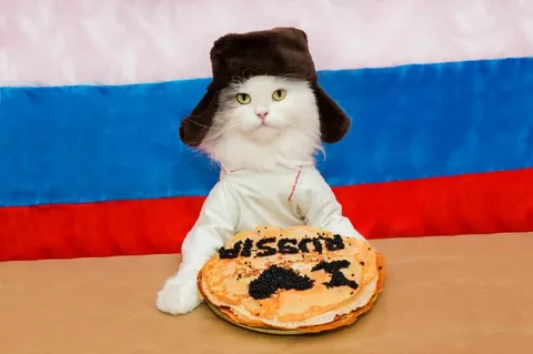 Кот празднует Масленицу