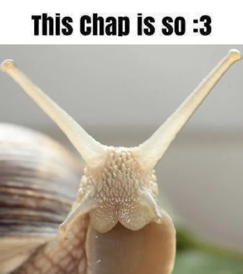 Snail Is So :3
