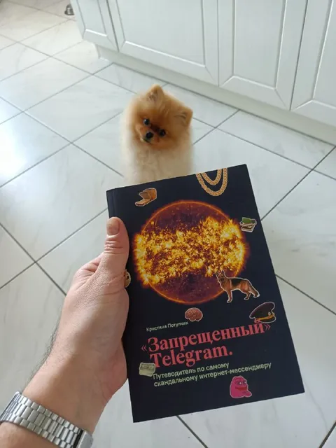 Запрещенный Telegram у щенка