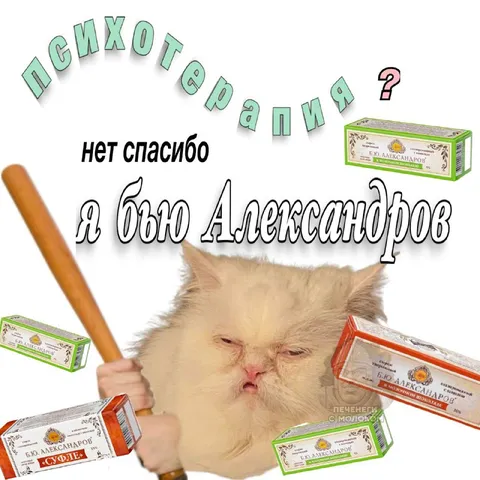 Психотерапия? Нет, бью Александров