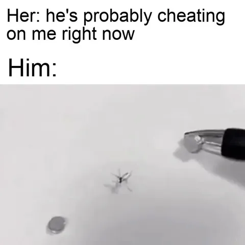 He’s Probably Cheating Meme