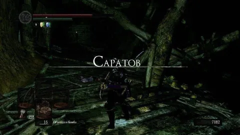 Саратов в Dark Souls