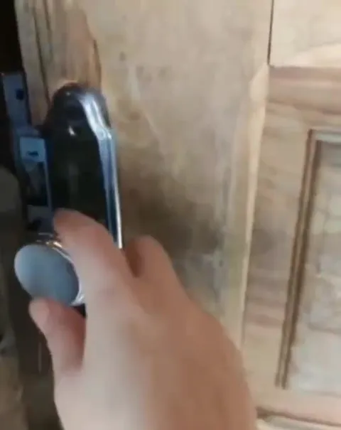 Хаски встречает у двери