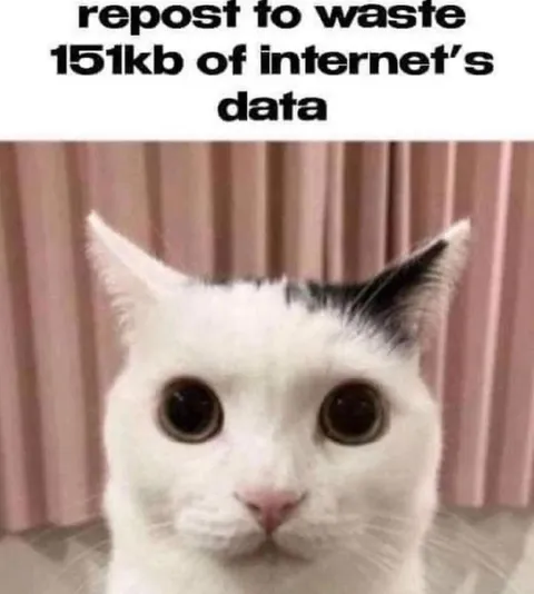 Repost to Waste Data
