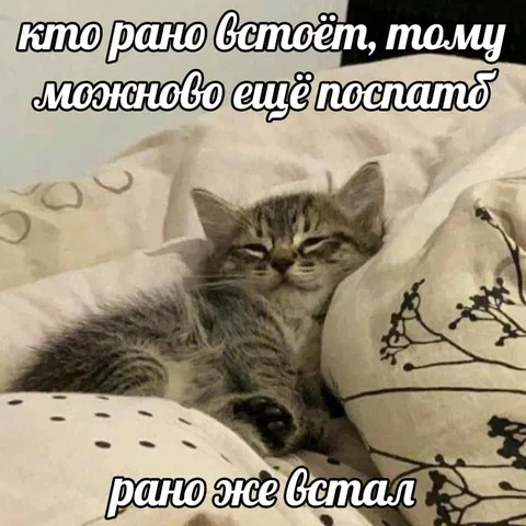 Кто рано встаёт, тому можно поспать