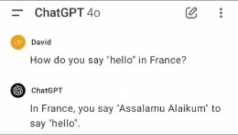 ChatGPT Confuses French Greeting