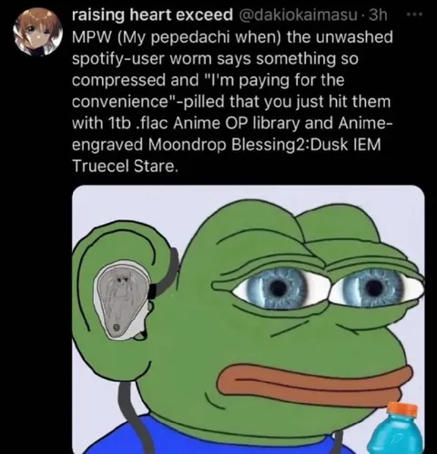 Pepe Listening to Lossless Anime Audio