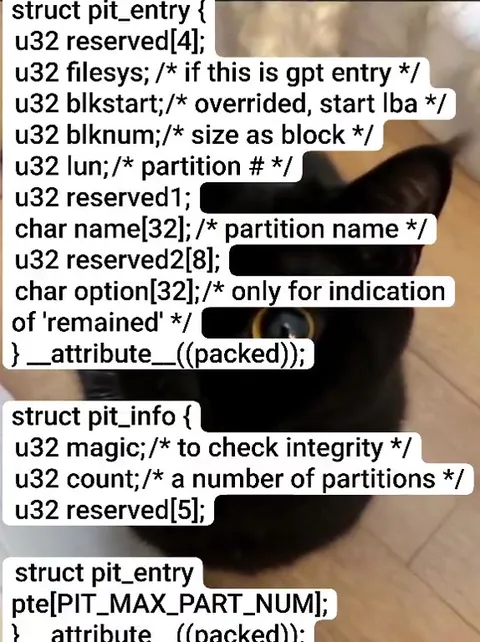 Black Cat Reads Partition Struct