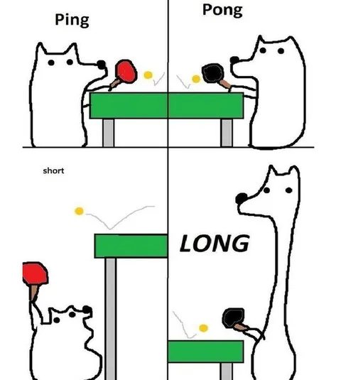 Ping Pong Long Cat