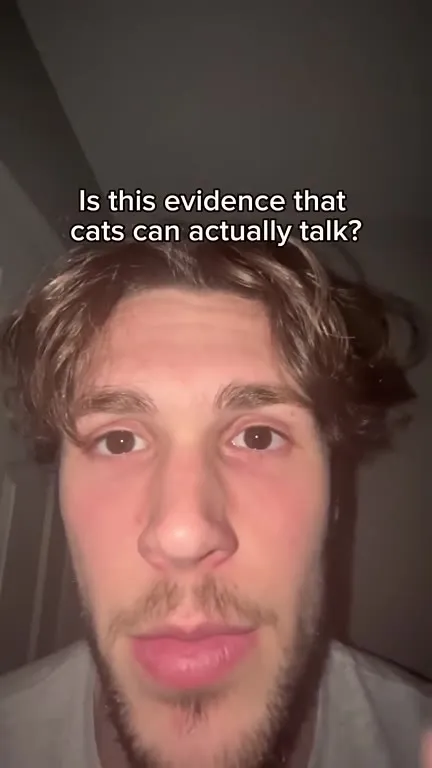 Can Cats Actually Talk?