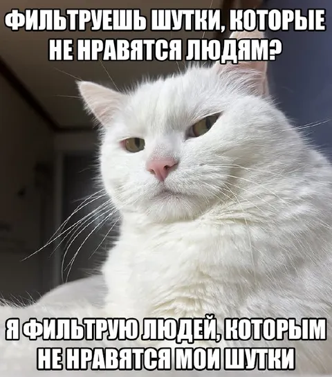 Фильтрую людей, которым не нравятся мои шутки